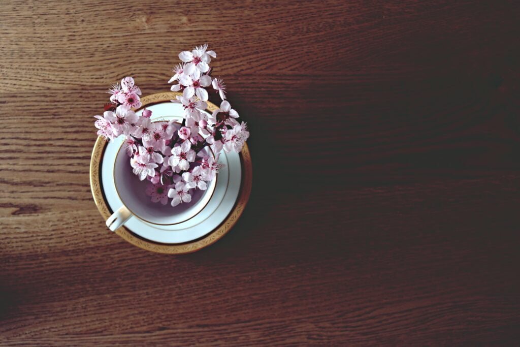 manfaat bunga sakura untuk wajah (1)