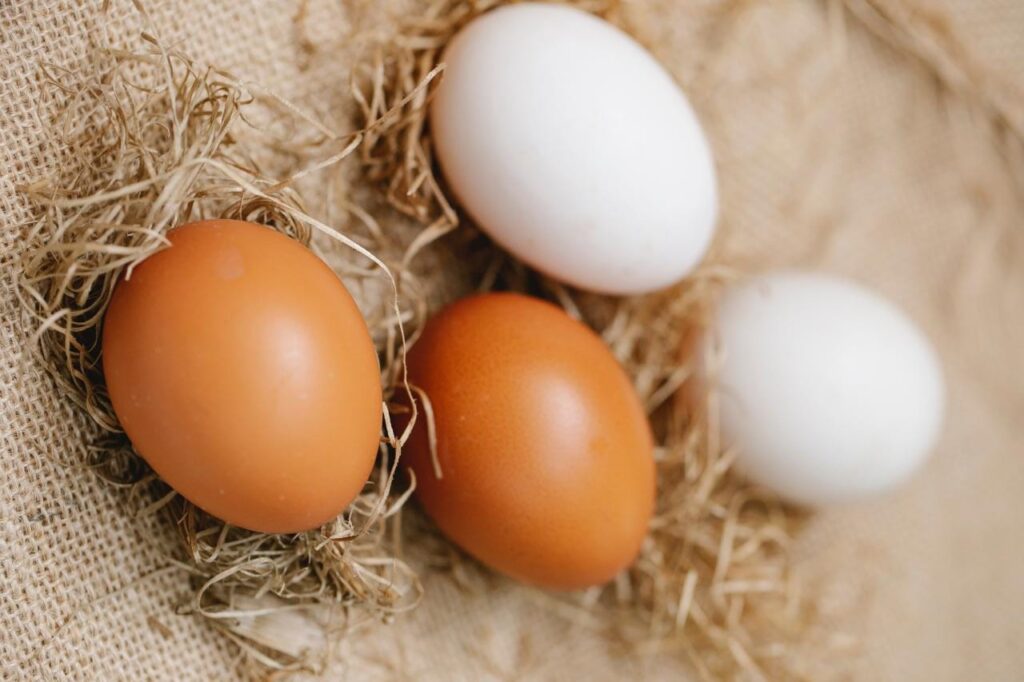 manfaat telur untuk wajah (1)