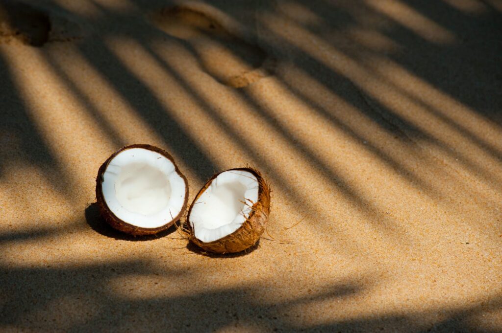 manfaat coconut oil untuk kecantikan (3)