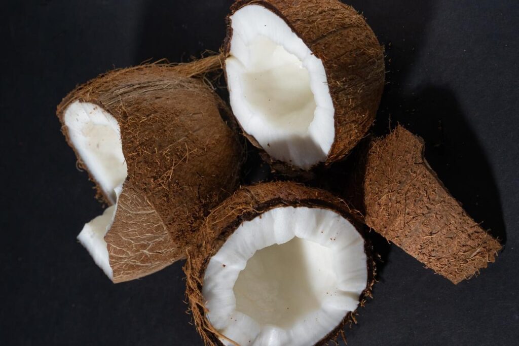 Manfaat santan kelapa untuk kecantikan (2)