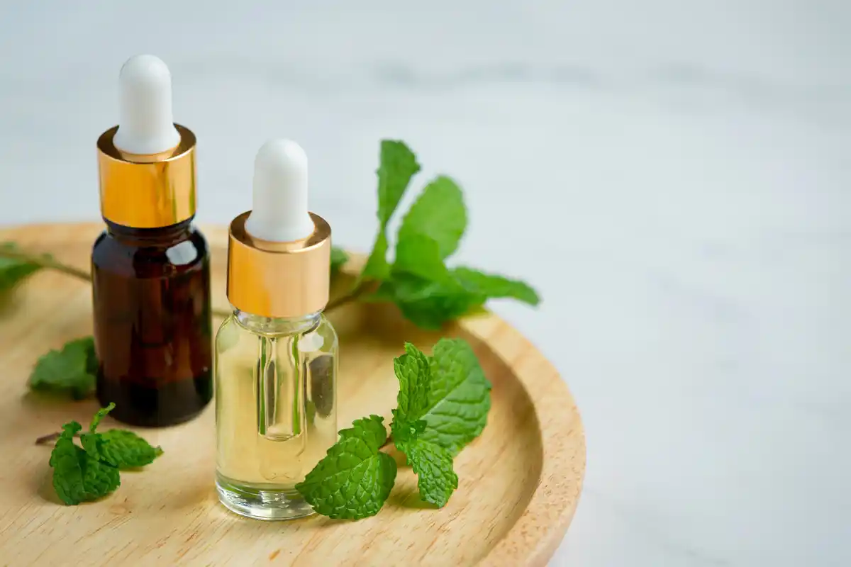 manfaat peppermint oil untuk rambut