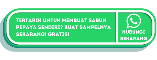 cta cara membuat sabun pepaya