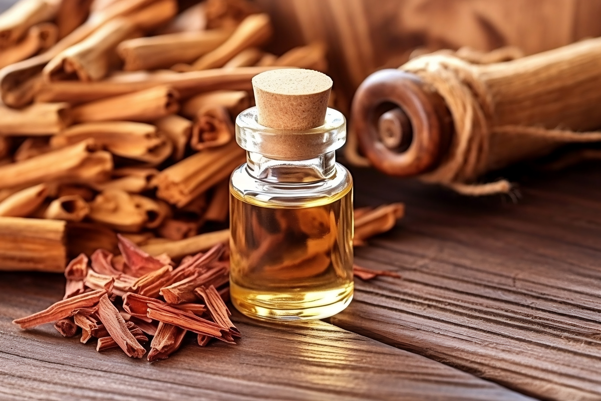 wangi sandalwood seperti apa