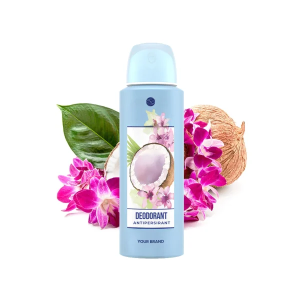 Hasil maklon deodorant spray basic antiperspirant - PT Mash Moshem Indonesia
